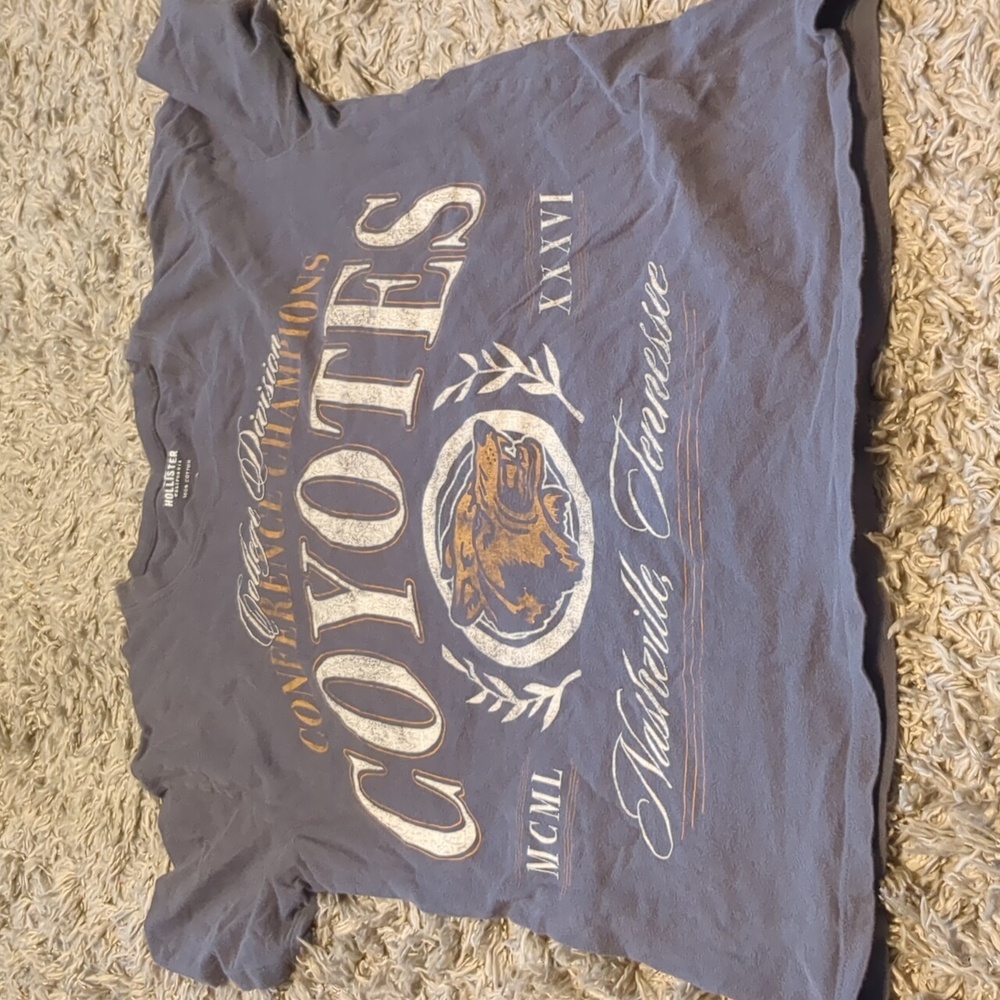 Hollister Oversized Graphic Tee XS